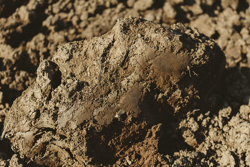 ãac åç èããã®ç»åæ¤ç´¢çµæ