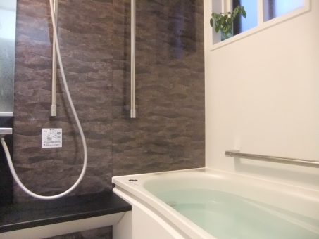 ãac åç ã風åãã®ç»åæ¤ç´¢çµæ