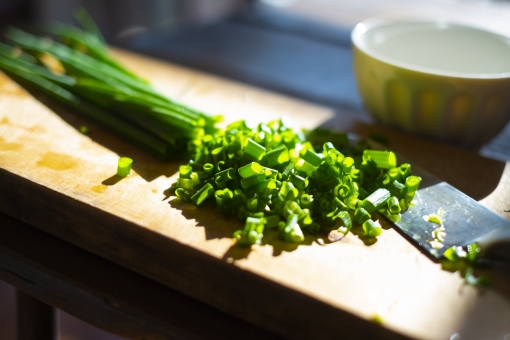 「ac 写真　分葱」の画像検索結果