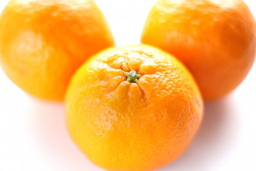 ãac åç ã¿ããã®ç®ãã®ç»åæ¤ç´¢çµæ