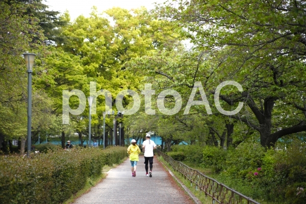 ランニングする二人 ランニングする二人の写真