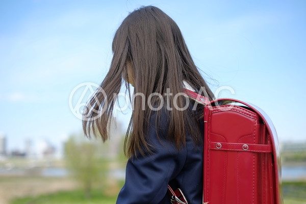 小学生の女の子53 小学生の女の子53の写真