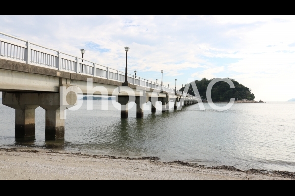 蒲郡 竹島園地、海岸の波打ち際と竹島 蒲郡 竹島園地、海岸の波打ち際と竹島の写真