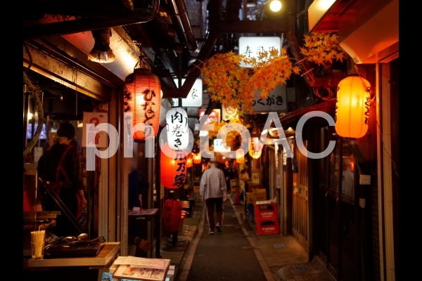 新宿の飲み屋街「思い出横丁」 新宿の飲み屋街「思い出横丁」の写真