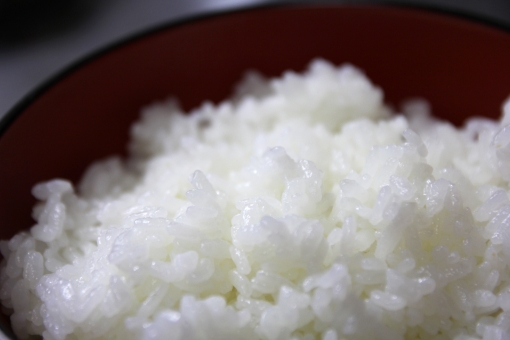 「ac 写真 ごはん」の画像検索結果