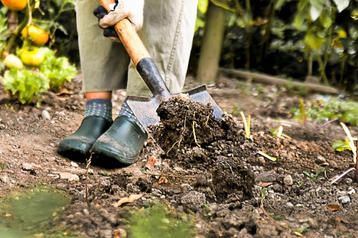 「ac 写真 土をほる」の画像検索結果