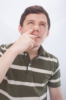 ãããªã¼ç´&nbsp;æ é¼»ã®ç©´ãã»ããå¤äººãã®ç»åæ¤ç´¢çµæ