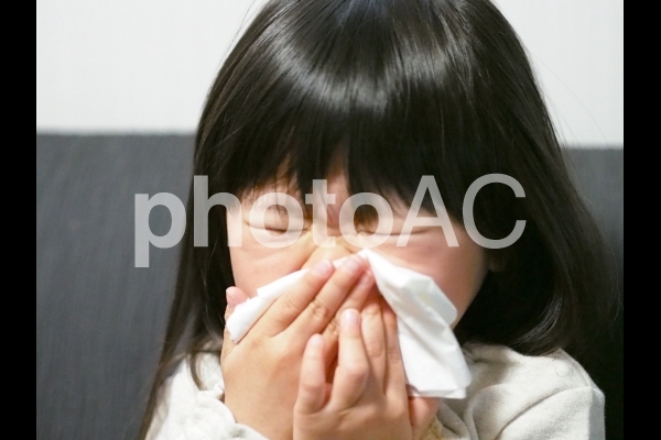 鼻をかむ女の子1 鼻をかむ女の子1の写真