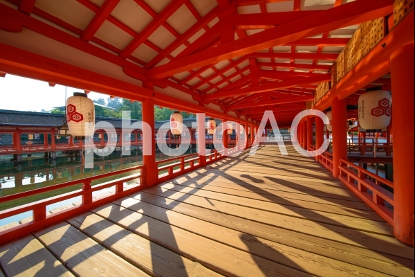 厳島神社の風景 厳島神社の風景の写真