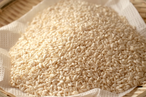 ãac åç å¡©éº¹ãã®ç»åæ¤ç´¢çµæ