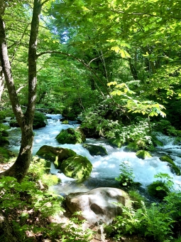 渓流イラスト 無料イラストなら イラストac