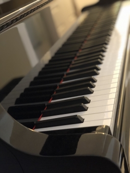 黒檀の写真素材 写真素材なら 写真ac 無料 フリー ダウンロードok