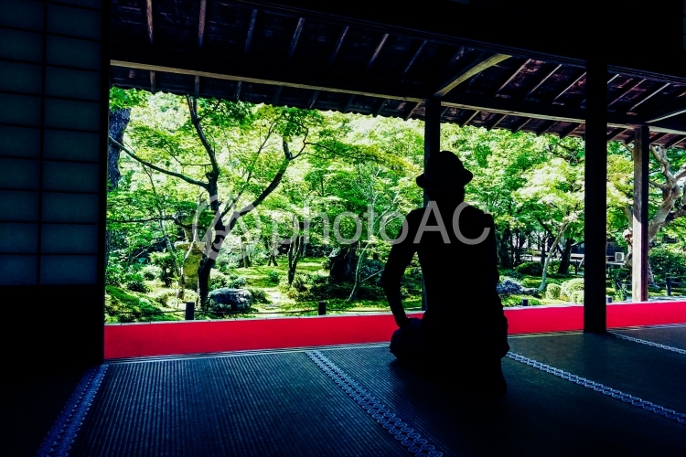 圓光寺の庭園と男性の後ろ姿のシルエット No 写真素材なら 写真ac 無料 フリー ダウンロードok