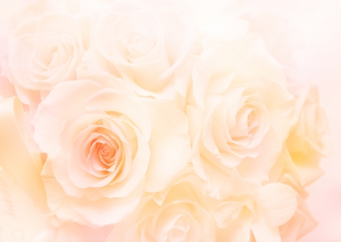 パステルの写真素材 写真素材なら 写真ac 無料 フリー ダウンロードok