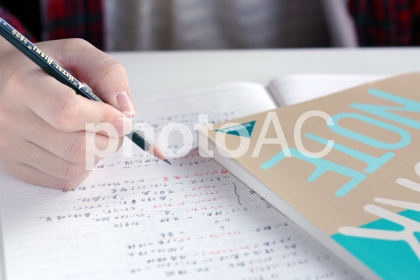 勉強 勉強の写真