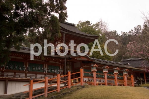 奈良 春日大社 中門 奈良 春日大社 中門の写真