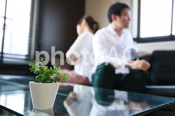観葉植物と夫婦喧嘩のイメージ 観葉植物と夫婦喧嘩のイメージ の写真