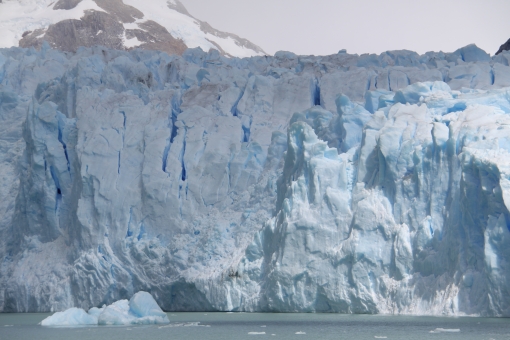 エルの写真素材 写真素材なら 写真ac 無料 フリー ダウンロードok