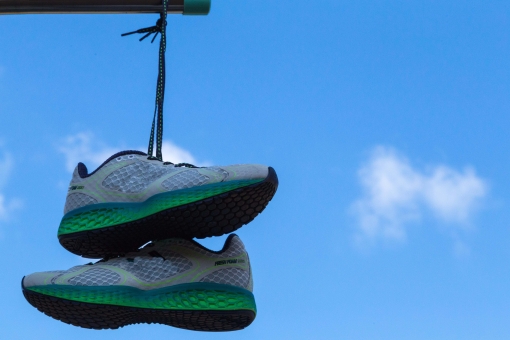 ãac åçãå¤©æ¥å¹²ããã®ç»åæ¤ç´¢çµæ