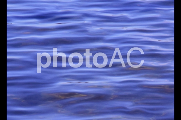 静かな水面D 静かな水面Dの写真