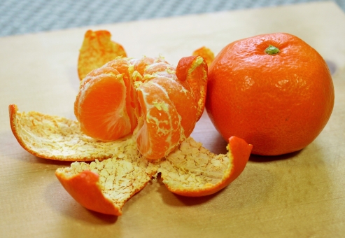 ãac åçãã¿ããã®ç®ãã®ç»åæ¤ç´¢çµæ