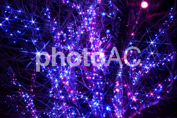 【冬のイメージ】イルミネーション 【冬のイメージ】イルミネーションの写真