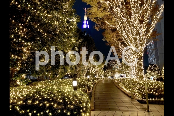 イルミネーション イルミネーションの写真