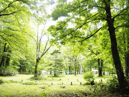 キャンプ用品の写真素材 写真素材なら 写真ac 無料 フリー ダウンロードok