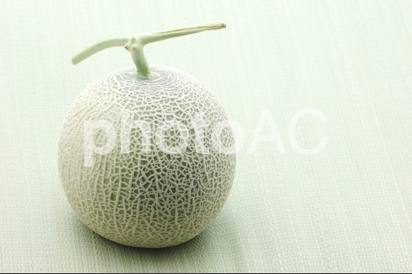 メロン メロンの写真