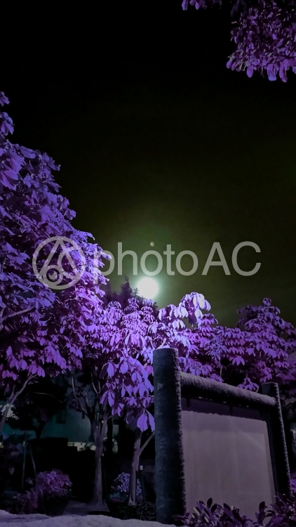 怪しい夜 No 写真素材なら 写真ac 無料 フリー ダウンロードok