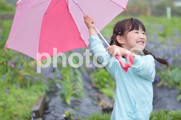 傘をさす子供 傘をさす子供の写真