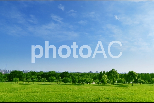 草原の公園と青空と雲 草原の公園と青空と雲の写真