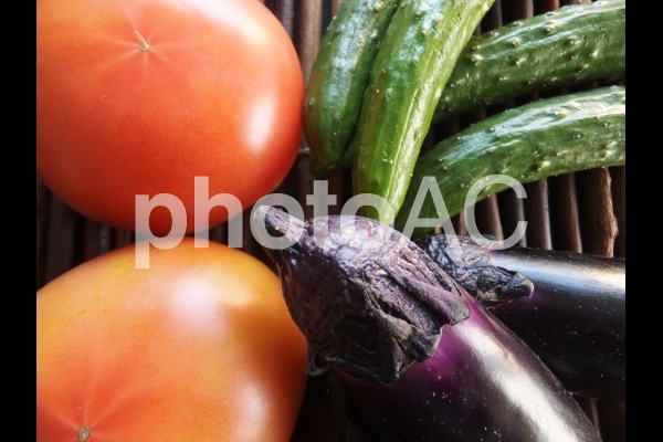 野菜 2 野菜 2の写真