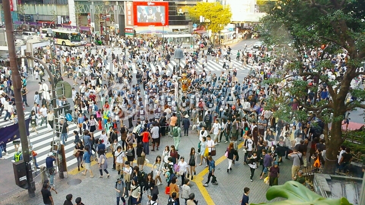 東京都 渋谷 スクランブル交差点の人混み 1028 No 写真素材なら 写真ac 無料 フリー ダウンロードok