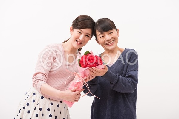 うちはうまくいってます2 うちはうまくいってます2の写真