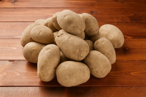 ãac åç ããããããã®ç»åæ¤ç´¢çµæ