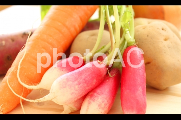 vegitable② vegitable②の写真