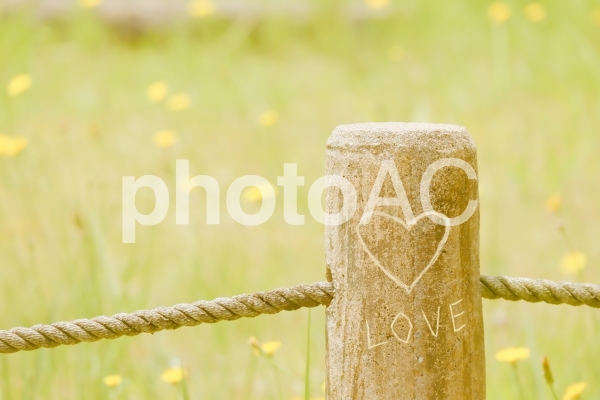 LOVEと書かれた杭 LOVEと書かれた杭の写真