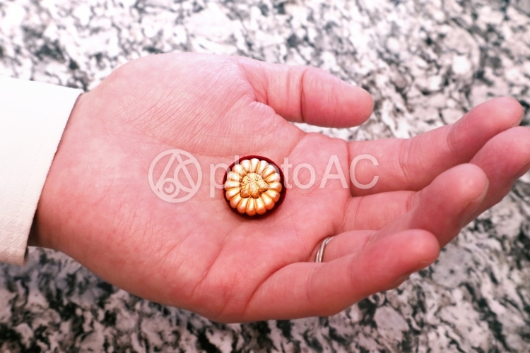 弁理士バッジ No 写真素材なら 写真ac 無料 フリー ダウンロードok