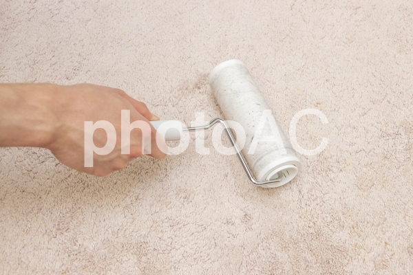 コロコロ2 コロコロ2の写真