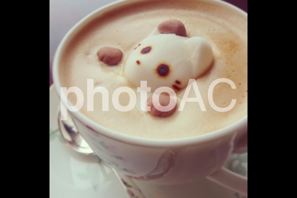 ねこラテ ねこラテの写真