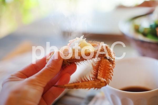 毛ガニ鍋 毛ガニ鍋の写真
