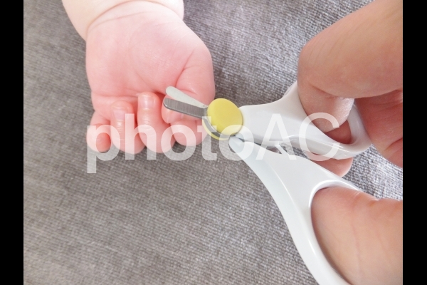 赤ちゃん用の爪切り 5 赤ちゃん用の爪切り 5の写真
