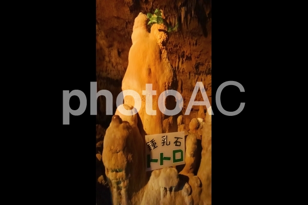 石垣島鍾乳洞トトロ石 石垣島鍾乳洞トトロ石の写真