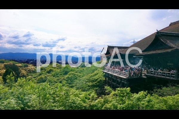 日本 京都 清水寺 日本 京都 清水寺の写真