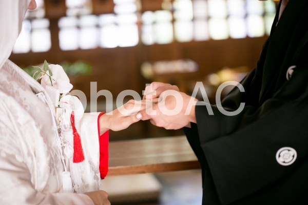 指輪交換 指輪交換の写真
