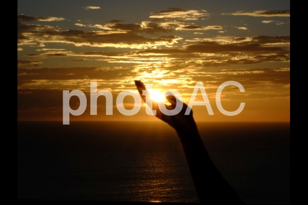 夕日を受け止める 夕日を受け止めるの写真