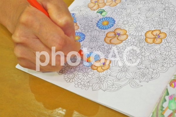 塗り絵をしているところ 塗り絵をしているところの写真