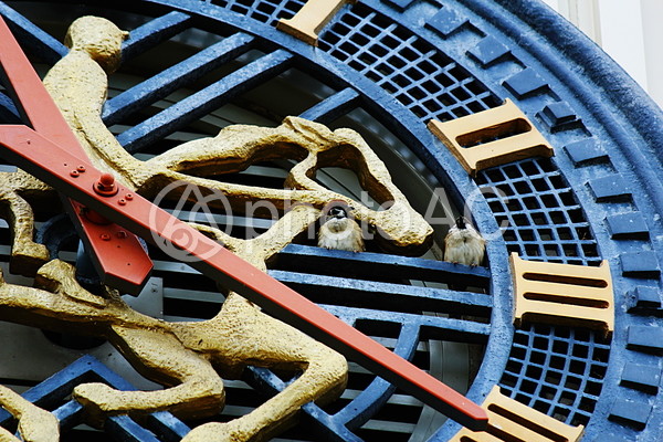 英数字の時計 No 写真素材なら 写真ac 無料 フリー ダウンロードok