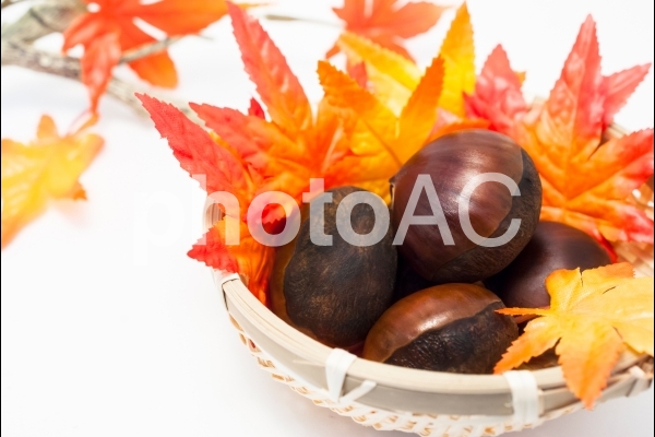 栗と紅葉 栗と紅葉の写真